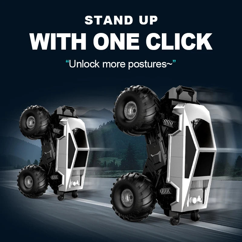 1:16 Scale Remote Control Off-Road Pickup Truck
