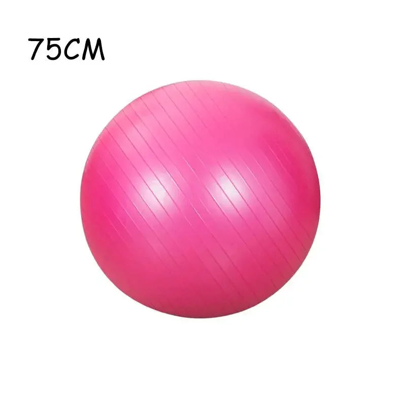 Yoga Ball Pilates Exercise Gymnastic Fitness Ball