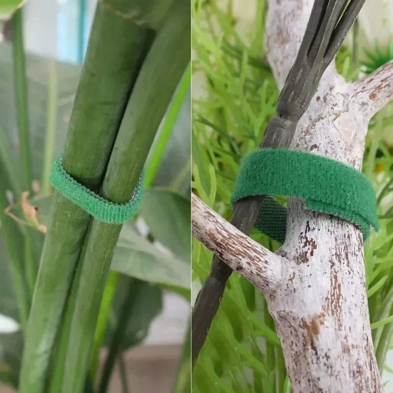Garden Tape Nylon Cable Tie for Plants Flowers Growing Climbing Reusable Plant Support Hook-and-loop Fastener Garden Accessories