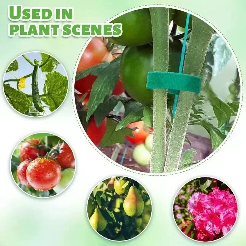 Garden Tape Nylon Cable Tie for Plants Flowers Growing Climbing Reusable Plant Support Hook-and-loop Fastener Garden Accessories