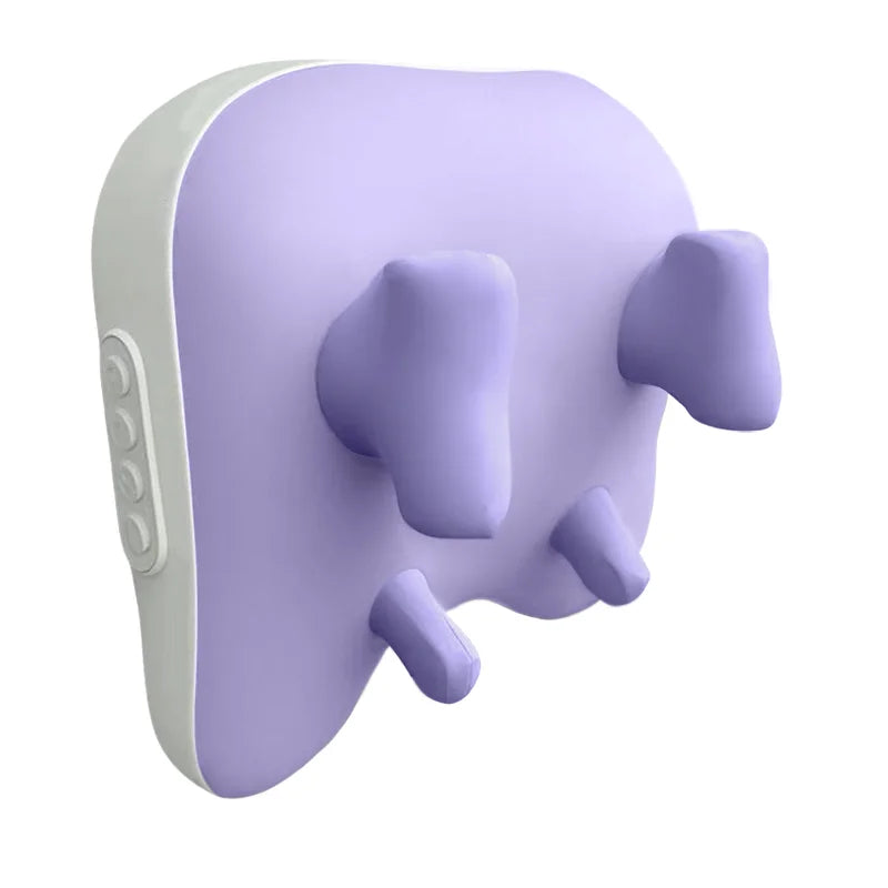 TR40 Electric Massage Pillow
